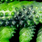 Black Abyss Spiked Dildo from Oieffur, a platinum silicone fantasy dildo with a textured, spiked design for intense stimulation.